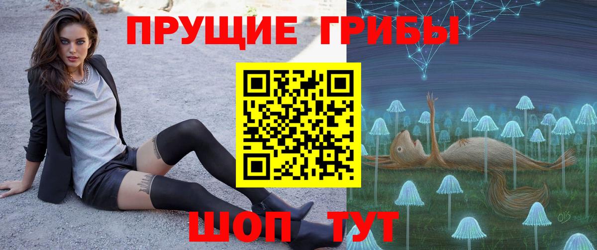 Воркута  Галлюциногенные грибы прущие грибы  хочу наркоту  Вход с VPN 