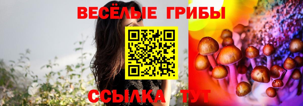 Псилоцибиновые грибы прущие грибы Воркута